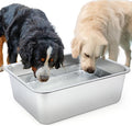 5 Gallon Large Dog Water Bowl, Stainless Steel Bowl, Giant Dogs | 5 Gallon by Lonepetu