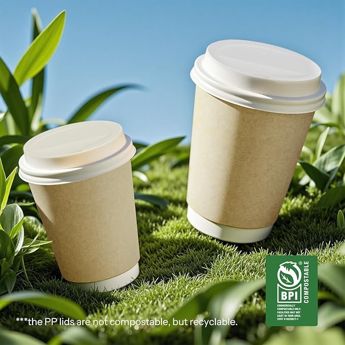 Disposable Coffee Cups with Lids 16 oz To Go Hot Cups,20 Pack Double Wall Paper Cups with Lids, BPI Compostable PLA Coated Natural Kraft Insulated Disposable Cups for Togo Office Cafe Party Travel