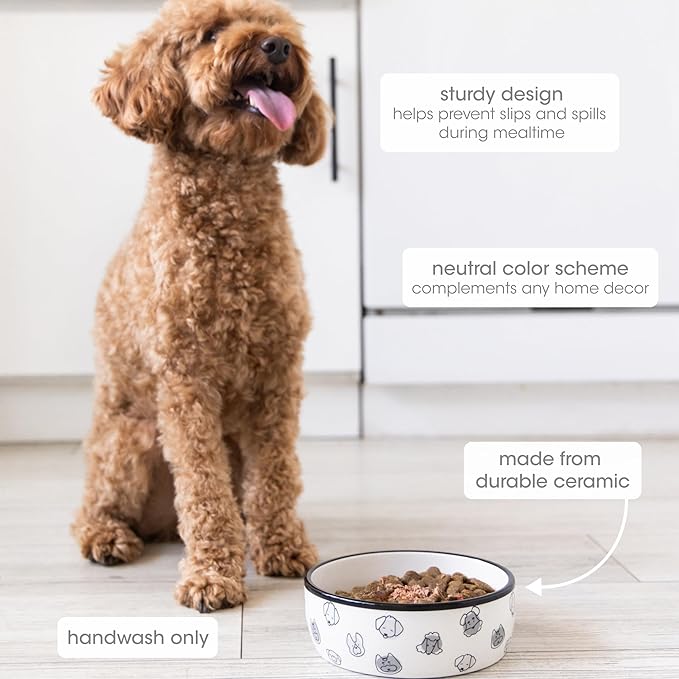 Pearhead Ceramic Dog Faces Dog Bowl, Holds 2 Cups, Stoneware Food and Water Dish for Dogs up to 20 lbs, Heavy Non-Slip Base, Small/Medium