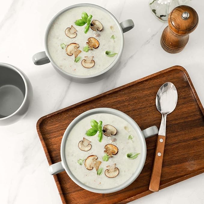 Soup Bowls, 22 oz French Onion Soup Bowls with Handles, Stackable Ceramic Bowls Set of 4, Dinner Bowls for Chili, Beef Stew, Soup, Cereal, Oven Microwave Dishwasher Safe, Matte Gray