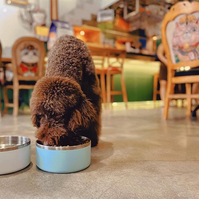 IKITCHEN Dog Bowl for Food and Water, 64 Oz Stainless Steel Pet Feeding Bowl, Durable Non-Skid Double Wall Insulated Heavy Duty with Rubber Bottom for Medium Large Dogs (64 Ounces/8 Cup, MintGreen)