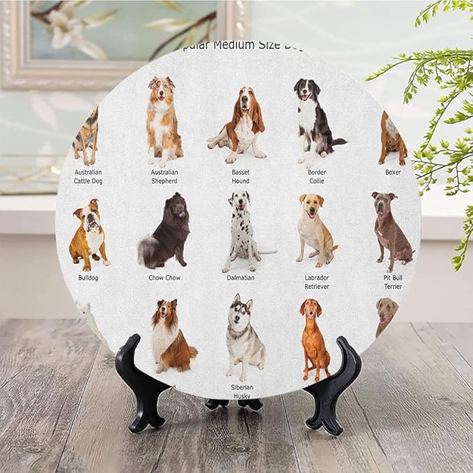 Ceramic Plates, Dog Decorative Ceramic Plates, AGroup of Different Puppy Breeds Family Type Species, 10 Inch, Household Plates Decorative, Multi