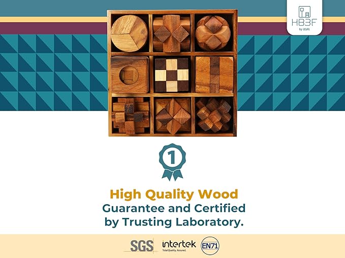 BSIRI 9 in 1 Wooden Brain Teaser Puzzles for Adults Teens Box Set Wood Hard Level 10 Impossible Mind Wood Brain Teaser Games 3D Hand Puzzle Sets for Decoration and Mini Toys