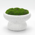 6'' Handmade Cement Bowl–Artificial Moss Centerpiece by NAHARO
