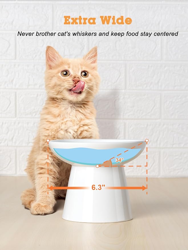 LoeJan Elevated Cat Food and Water Bowls Set, Extra Wide and Raised Ceramic - Image 6