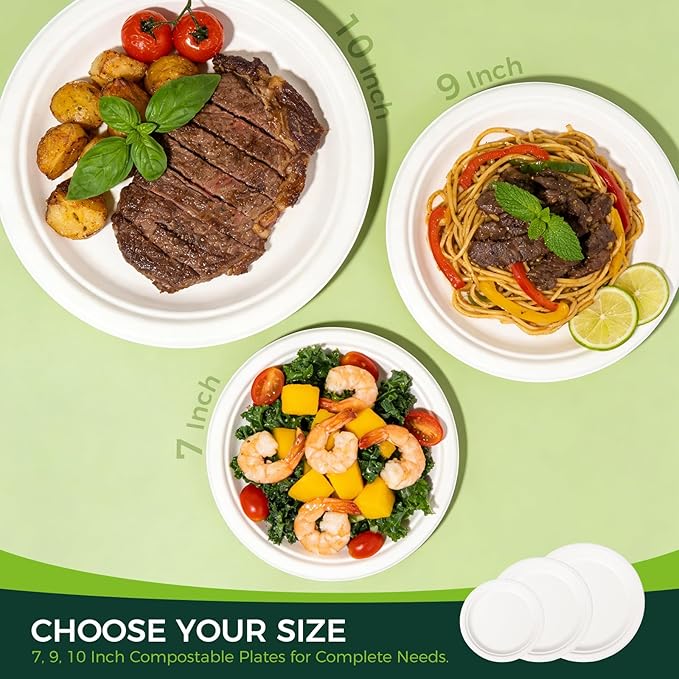 100% Compostable Paper Plates - 10 Inch, Bulk 300 Count - Disposable, Heavy Duty, Biodegradable Plates Made of Bagasse - Eco-Friendly, Large Size (White)