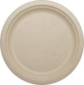World Centric Compostable Round Paper Plates, 9" (Pack of 250), Made from Unbleached Plant Fiber, Sustainable, Heavy Duty, Grease Resistant, Microwave & Freezer Safe, PFAS Free