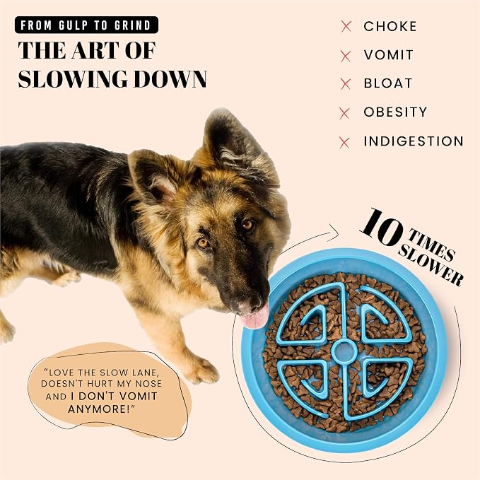 AVERYDAY Slow Feeder Dog Bowls for Large Breeds Fits Raised Feeding Station - Image 2