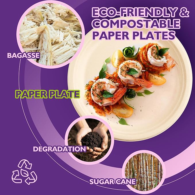 9 Inch 125 Pack Compostable Paper Plates, Biodegradable Heavy Duty Disposable Plates, Round Unbleached Brown Plates Made from Natural Sugarcane Fibers, for Party, Camping, Picnic