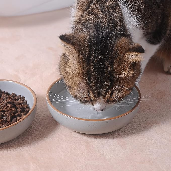 Cottagecore Ceramic Cat Bowls, 3 Pack Set, 5.3 in Shallow Pet Bowl - Image 3