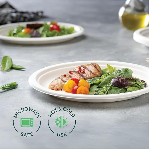 100% Compostable Disposable Paper Plates - Image 3