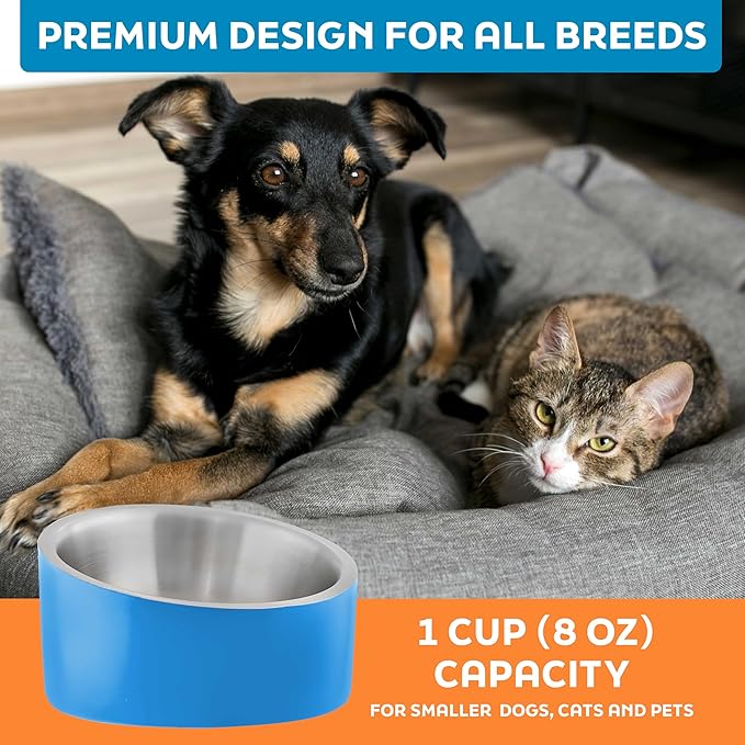 Master Pet Supply Stainless Steel Slanted Dog Cat Food Bowl - 8 oz Heavy Duty - True Blue, Double Wall Insulated, Non-Slip Elevated Bowl for French Bulldogs Pugs Cats, Anti Rust Dishwasher Safe