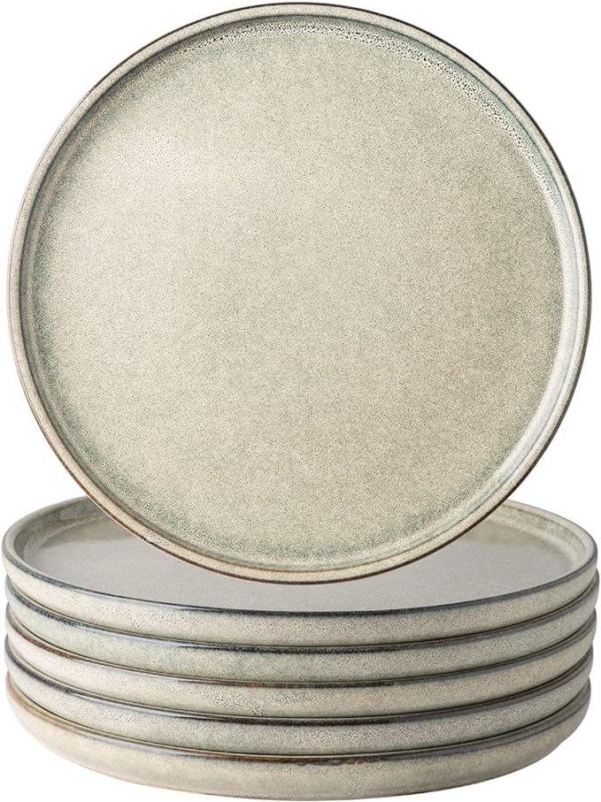 AmorArc Dinner Plates Set of 6, 10.5 Inch Reactive Glaze Ceramic Plates Set, Microwave, Dishwasher Safe, Scratch Resistant, Modern Large Dinnerware Dishes Set Kitchen Stoneware Plates