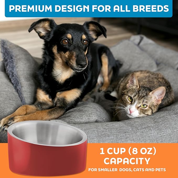 Master Pet Supply Stainless Steel Slanted Dog Cat Food Bowl - 8 oz Heavy Duty - Crimson Flame, Double Wall Insulated, Non-Slip Elevated Bowl for French Bulldogs Pugs Cats, Anti Rust Dishwasher Safe