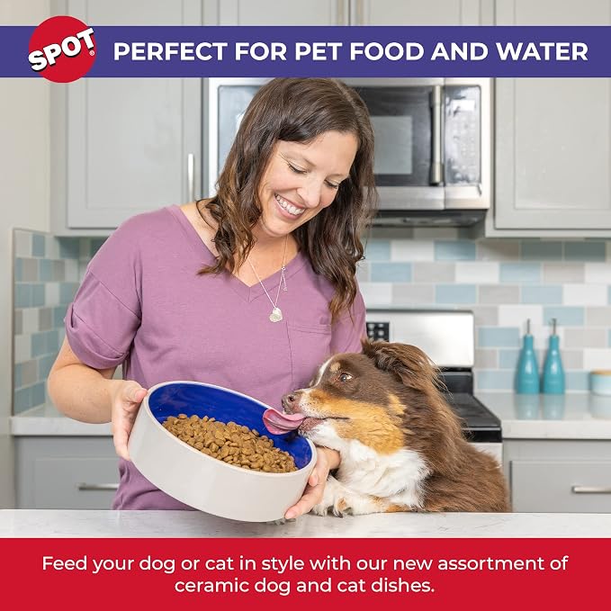 SPOT Standard Crock Dish - Image 4