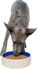 SPOT Standard Crock Dish by SPOT