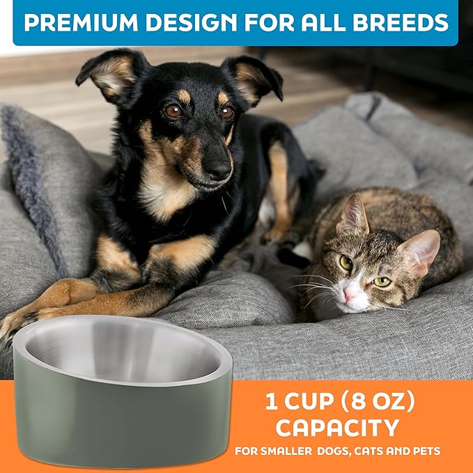 Master Pet Supply Stainless Steel Slanted Dog Cat Food Bowl - 8 oz Heavy Duty - Camo Patrol, Double Wall Insulated, Non-Slip Elevated Bowl for French Bulldogs Pugs Cats, Anti Rust Dishwasher Safe