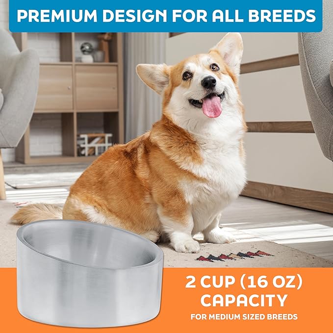 Master Pet Supply Stainless Steel Slanted Dog Cat Food Bowl - 16 oz Heavy Duty - Stainless Steel, Double Wall Insulated, Non-Slip Elevated Bowl for French Bulldogs Pugs Cats, Anti Rust Dishwasher Safe