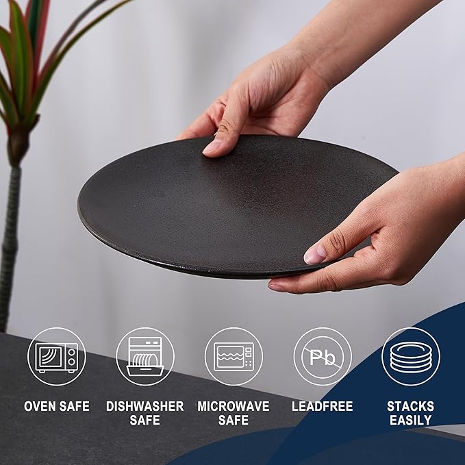 HEVN 6 Piece 10.2” Stoneware Dinnerware Set – Modern Dinner Plates Set of 6, Dishwasher & Microwave Safe Dish Set, Durable Dinnerware Sets for Everyday Use