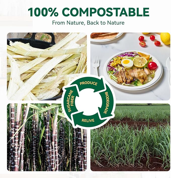 JOLLY CHEF 100% Compostable Paper Plates, 150 Pack 9 Inch Heavy Duty Plates, Disposable Biodegradable Eco-Friendly Sugarcane, Bulk White