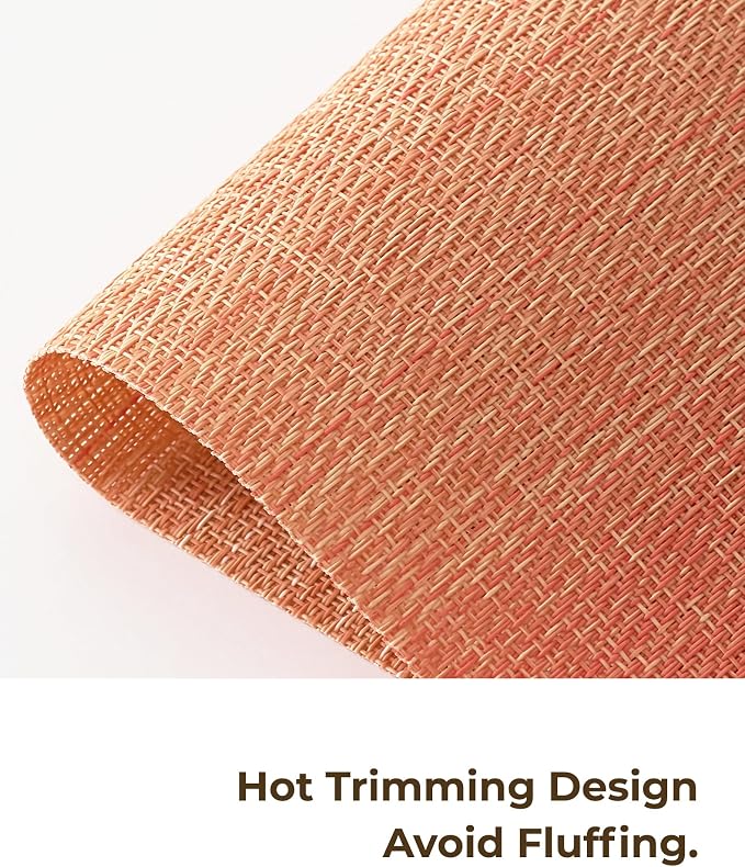 Leetaltree Gradient Burnt Orange Woven Placemats Set of 12 - Image 7