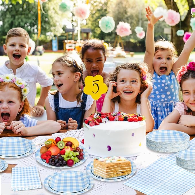180Pcs Blue Gingham Party Supplies Paper Plates and Napkins Serve 60 - Image 5