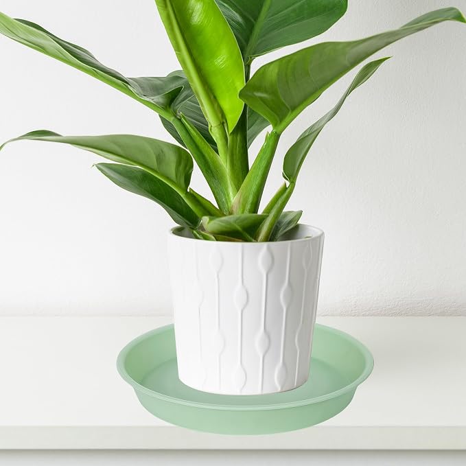 6 Pack of 6 inch Plant Saucer Drainage Tray, 4 5 7 8 10 12 13 15 17 19 inch - Image 5