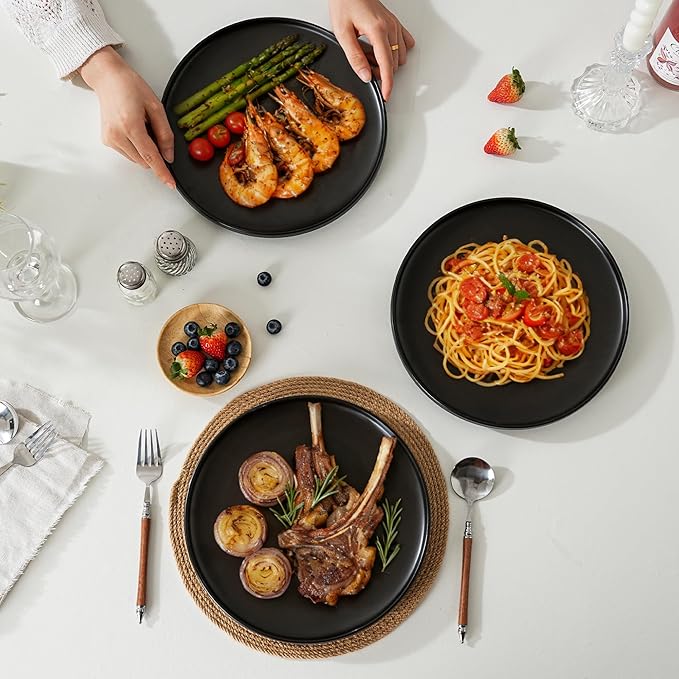 Stoneware Dinner Plates Set of 4, 10.25 Inch Plates for Steak, Pasta, Ceramic Plates Sets, Microwave Safe, Dishwasher Safe, Versatile for All Seasons, Matte Black