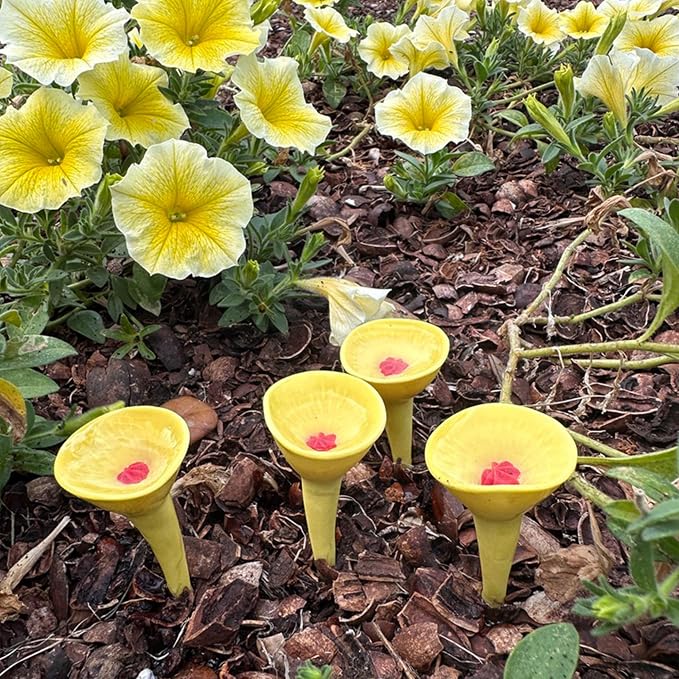 5 Pack, Bee Watering Station, 100% Handmade Porcelain, Bee and Butterfly Feeder - Image 6