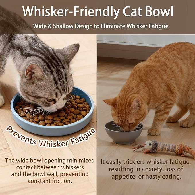 Silicone Cat Bowl Set of 2 Shallow Cat Dishes Small Non-Slip Pet Dog Bowls for Dry & Wet Food, Whisker Fatigue (Round Blue)