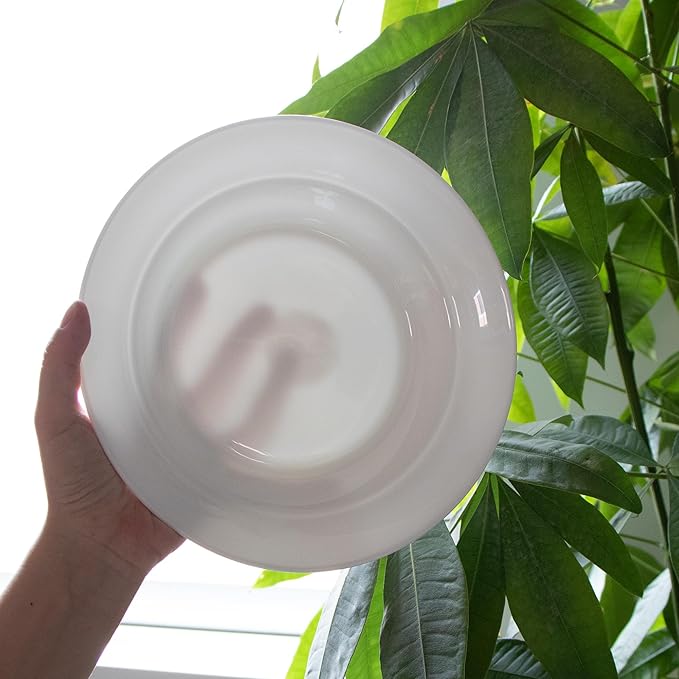 Ceramic Pasta Bowls Set of 4, 13.5oz/22oz Wide Rim Porcelain Soup Bowls - Oven & Dishwasher Safe, Lead-Free Dinnerware for Italian Pasta, Salad, Family Dining (White)