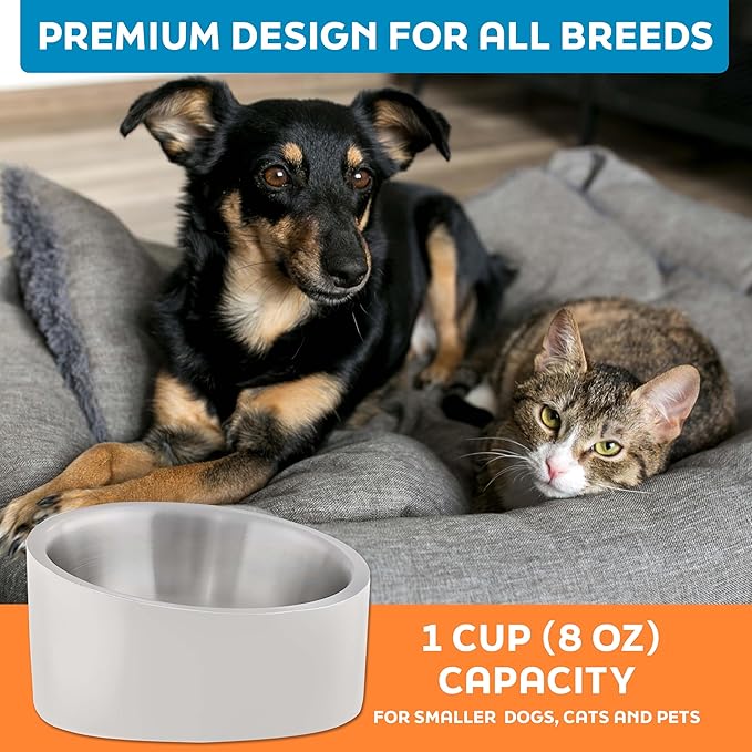 Master Pet Supply Stainless Steel Slanted Dog Cat Food Bowl - 8 oz Heavy Duty - Bone White, Double Wall Insulated, Non-Slip Elevated Bowl for French Bulldogs Pugs Cats, Anti Rust Dishwasher Safe