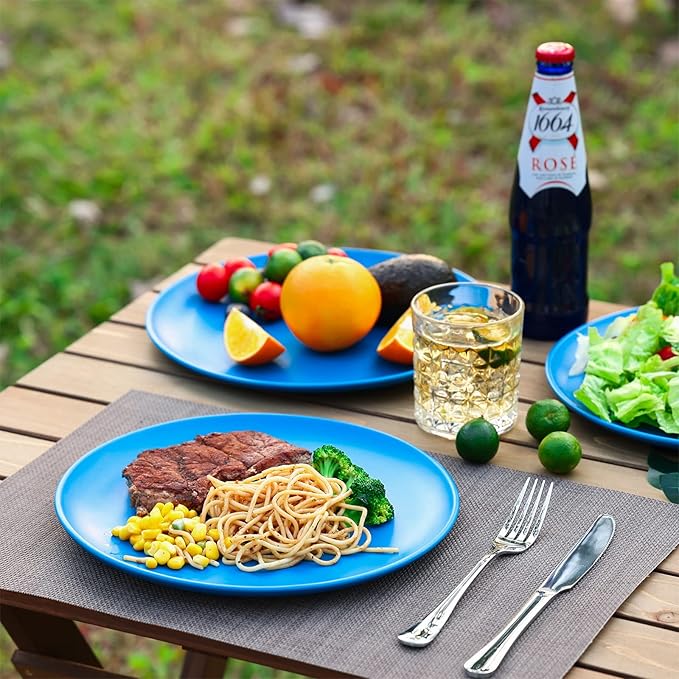 TP 10" Plate Set, 6-Piece Melamine Round Dinner Plates, Unbreakable Weighty Serving Dishes for Home, Outdoor Party, Restaurants, Coastal Blue