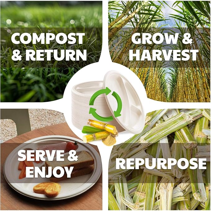 Compostable 3-Compartment Paper Plates, 125 Count, 10 Inch, Heavy Duty Disposable Divided Lunch Trays, Biodegradable Bagasse Sectional Plates for Buffet, Parties, Events & Daily Use, (Nature)