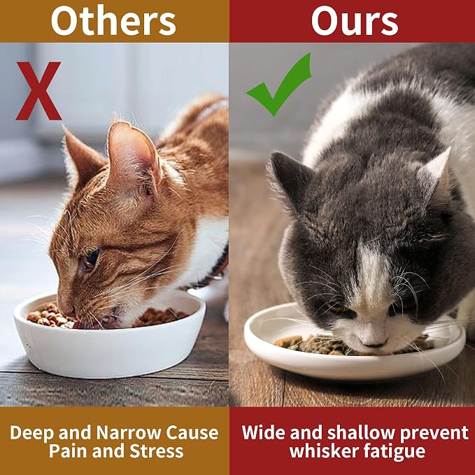 3 PCS Ceramic Cat Bowls, 5.5 in Pet Bowl Cat Dishes - Image 7