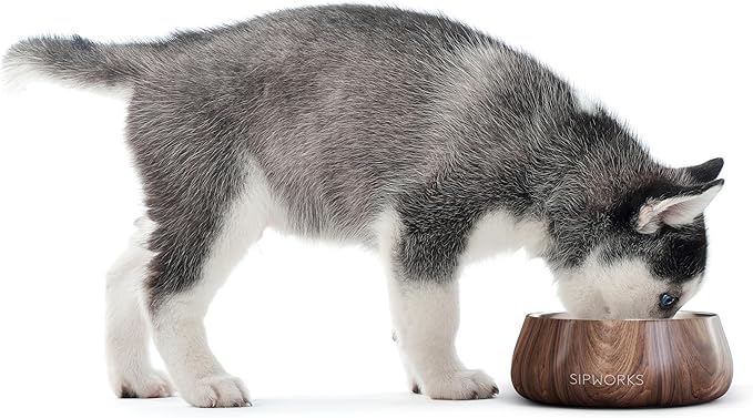 Sipworks Stainless Steel Dog Bowl – 32oz Weighted Metal Food and Water Bowls for Dogs and Cats with Non-Slip Base - Pet Bowls for All Breeds Sizes for Travel & Outdoor Play | White