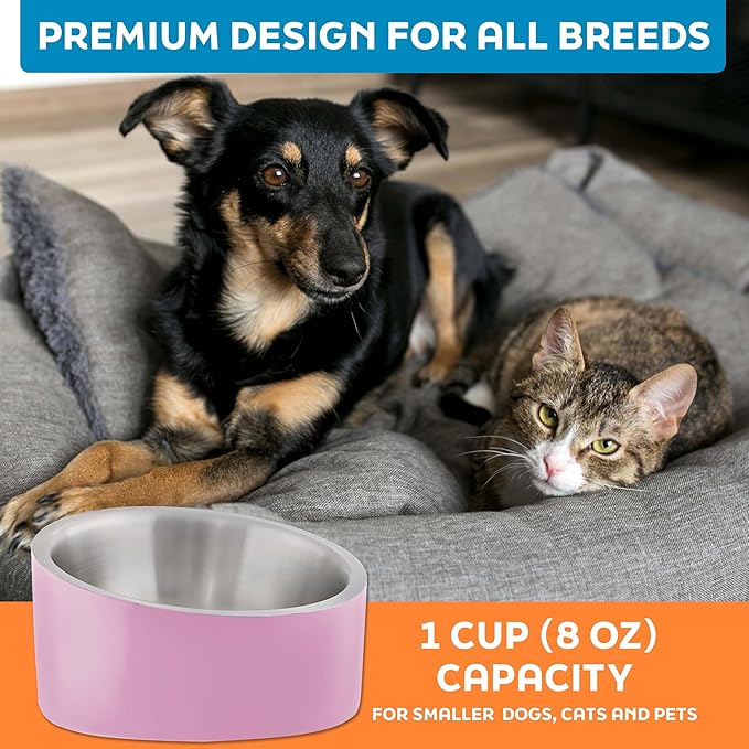 Master Pet Supply Stainless Steel Slanted Dog Cat Food Bowl - 8 oz Heavy Duty - Hyper Pink, Double Wall Insulated, Non-Slip Elevated Bowl for French Bulldogs Pugs Cats, Anti Rust Dishwasher Safe