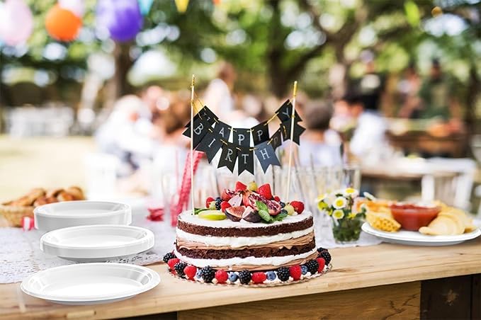 White Plastic Plates For Party 9" White Disposable Plates Heavy Duty 100 Pcs Plastic Dinnerware Sets Heavy Duty 350 GSM Disposable Dinnerware Set