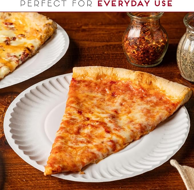 9-Inch Disposable Paper Plates - 300 Count - Bulk Pack of Uncoated Paper Plates for Everyday Use - Dinnerware for Meals, Parties And Picnics