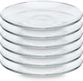 Teabloom Clear Glass Saucers Set of 6 – 5.3 Inch Borosilicate Glass Cup Saucers by Teabloom