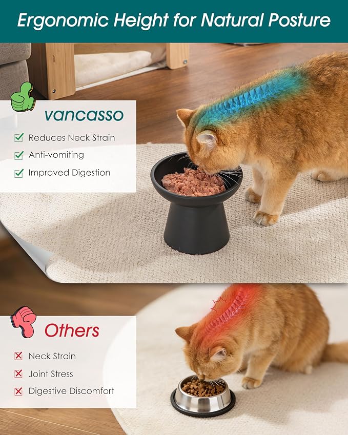 vancasso Elevated Cat Food Bowls 2-Pack, 6.2" Wide Shallow Cat Feeding Bowl - Image 5
