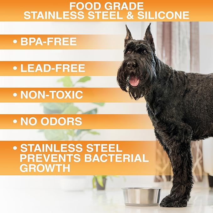 Neater Pet Brands Stainless Steel Dog Bowls with Non-Slip Rubber Bottom – 2 Cup (16 oz), Tan - Set of 2 Heavy Duty Metal Dog Bowls, Dishwasher Safe, Food or Water Bowl, Ideal for Small Dogs & Cats
