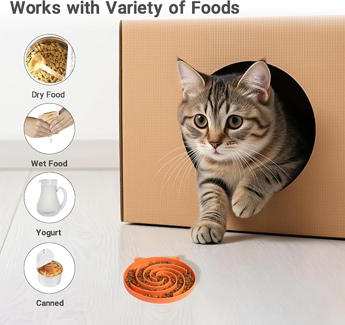 Bifeaw Slow Feeder Cat Bowl - Image 3