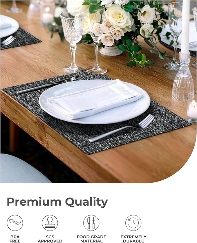 Leetaltree Black and Grey Woven Placemats Set of 6 - Image 7