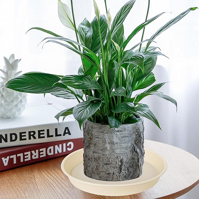 4 Pack of 14 inch Plant Saucers Bird Bath Bow Round, Plastic Plant Saucer Tray - Image 7