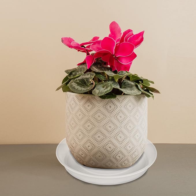 2 Pack of 10 inch Plant Saucer Gray, Heavy Duty Plastic Plant Saucer 10 inch - Image 5