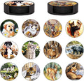 Coasters Set of 12 by Unknown