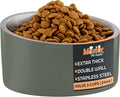 Master Pet Supply Stainless Steel Slanted Dog Cat Food Bowl - 24 oz Heavy Duty - Camo Patrol, Double Wall Insulated, Non-Slip Elevated Bowl for French Bulldogs Pugs Cats, Anti Rust Dishwasher Safe