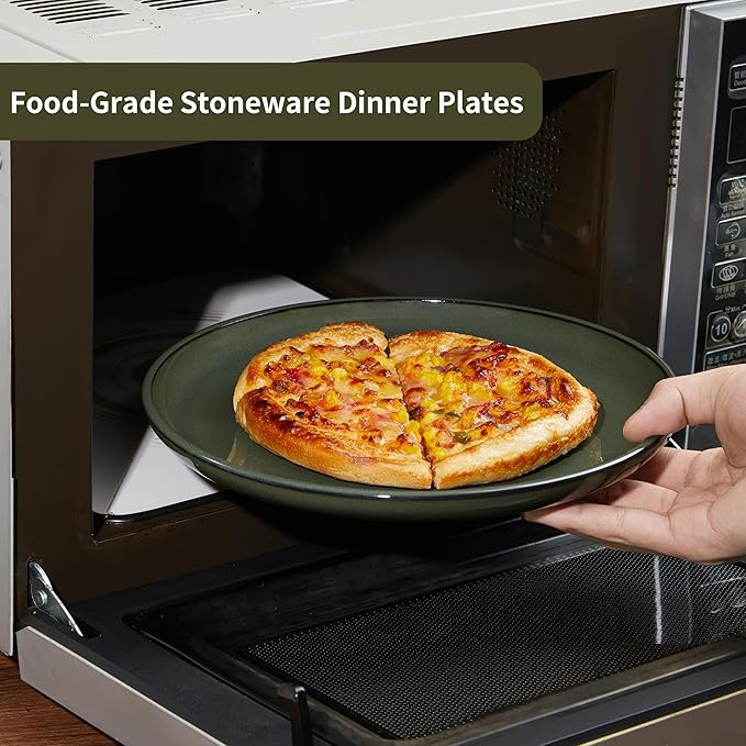 Ceramic Plate Set 10 Inch, Terracotta Dinner Plates of 6, Microwave Safe Plate, Large Serving Plates for for Salad Pasta Steak, Blackish Green