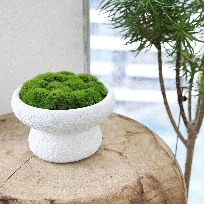 6'' Handmade Cement Bowl–Artificial Moss Centerpiece - Image 4